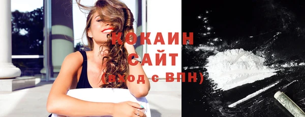 молекула духа Арсеньев