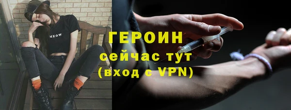 молекула духа Арсеньев