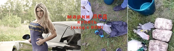 молекула духа Арсеньев