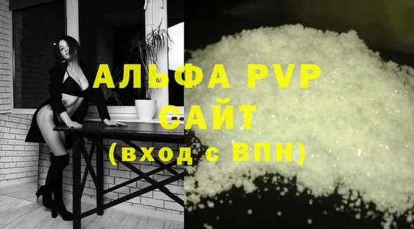 молекула духа Арсеньев